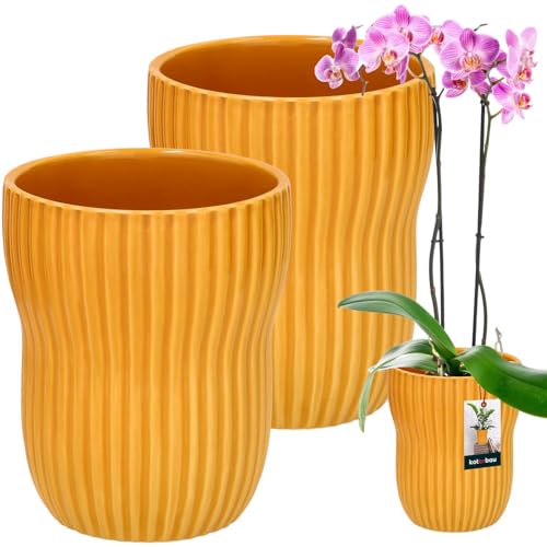 KOTARBAU® 2 St. Blumentopf Senfgelb innen rund ⌀ 11,5 cm H: 16,5 cm gerillter glasierte keramischer Blumentöpfe Blumenübertopf keramischer Pflanzentopf Orchideenübertöpfe Blumentopf groß Flower Pot von KOTARBAU