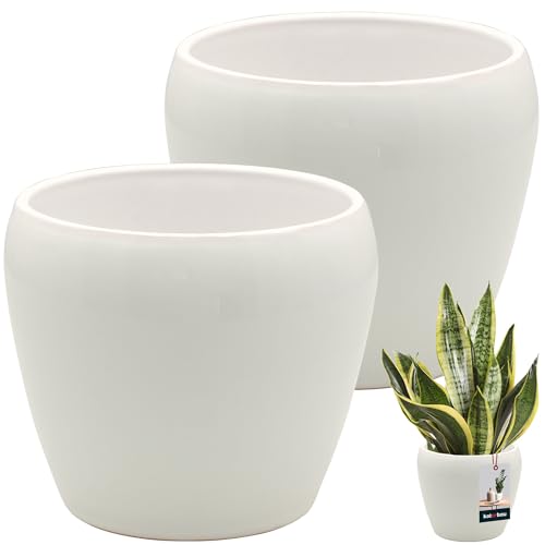 KOTARBAU® 2 St. Blumentopf Weiß innen rund ⌀ 13,5 cm H: 14 cm glasierte Keramik Blumentöpfe innen Blumenübertopf Pflanzentopf innen Orchideenübertöpfe Blumentopf groß Flower Pot von KOTARBAU