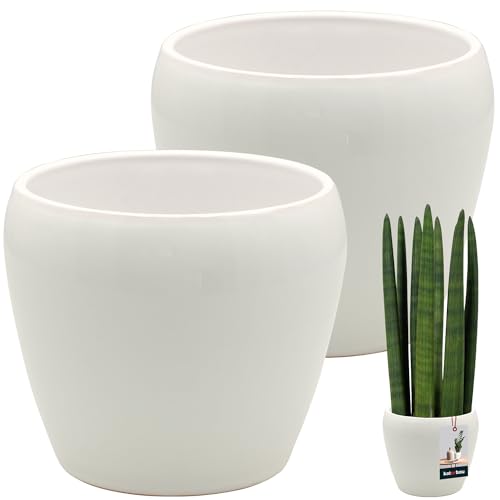 KOTARBAU® 2 St. Blumentopf Weiß innen rund ⌀ 15 cm H: 15 cm glasierte Keramik Blumentöpfe innen Blumenübertopf Pflanzentopf innen Orchideenübertöpfe Blumentopf groß Flower Pot von KOTARBAU