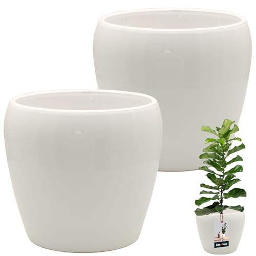 KOTARBAU® 2 St. Blumentopf Weiß innen rund ⌀ 17,5 cm H: 19 cm glasierte Keramik Blumentöpfe innen Blumenübertopf Pflanzentopf innen Orchideenübertöpfe Blumentopf groß Flower Pot von KOTARBAU
