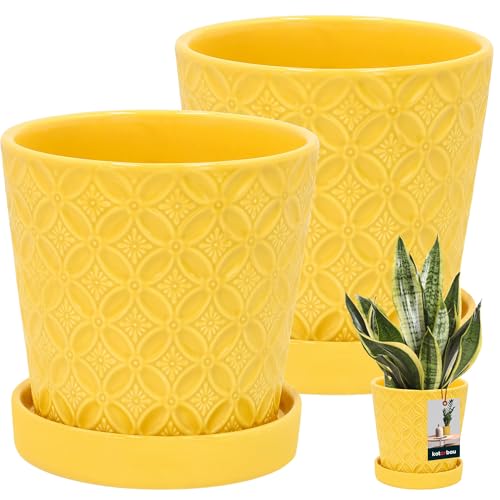 KOTARBAU® 2 St. Pflanzentopf mit Untersetzer Senfgelb ⌀ 13 cm Höhe: 15 cm Glasierte Keramik-Blumentopf groß Plant Pot Kaktus Topf mit Untersetzer Übertopf mit Untersetzer Blumentöpfe von KOTARBAU