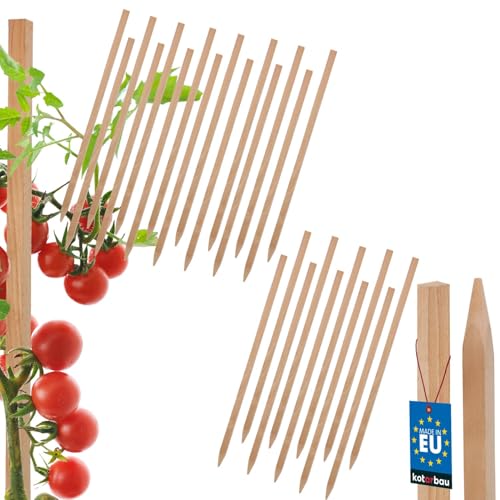 KOTARBAU® 25er Set Tomatenstäbe Pflanzstäbe 30 cm Zaunpfahl Holzpfosten Holzpflock angespitzt Pflanzenstütze Zaunpfosten Rankhilfe Holzpflanzenstäbe zur Stabilisierung Pflanzenstützen von KOTARBAU