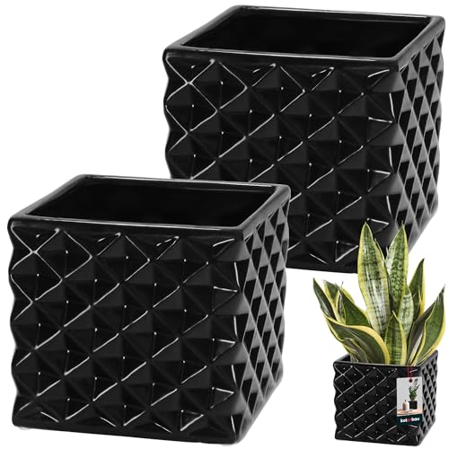 KOTARBAU® 2er Set Blumentopf Keramik glasiert Quadratisch Schwarz 14 x 14 cm H 13 cm Übertöpfe für Zimmerpflanzen Orchideen & Sukkulenten Topf Pflanzen Töpfe Blumen Übertopf Blumentopf viereckig von KOTARBAU