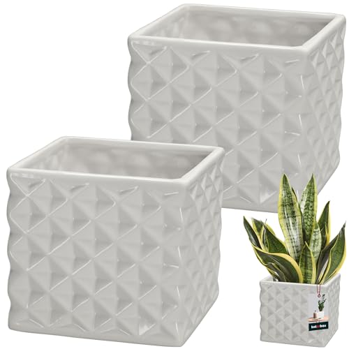 KOTARBAU® 2er Set Blumentopf Keramik glasiert Quadratisch Weiß 14 x 14 cm H 13 cm Übertöpfe für Zimmerpflanzen Orchideen & Sukkulenten Topf Pflanzen Töpfe Blumen Übertopf Blumentopf viereckig von KOTARBAU