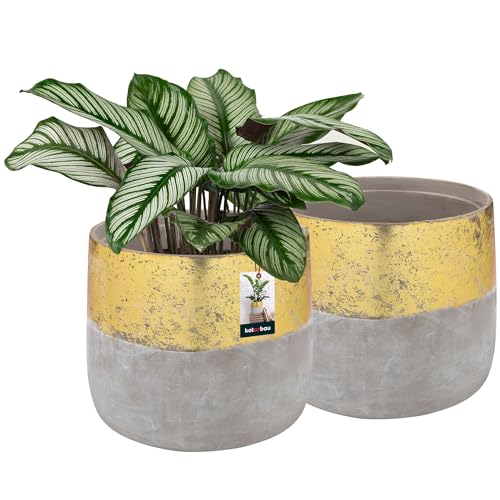 KOTARBAU® 2er Set Blumentopf Keramik groß Gold Unglasierte Keramik ⌀ 11,5 cm Höhe: 12 cm Pflanzkübel Keramik Blumentöpfe Keramik Übertopf Vintage von KOTARBAU