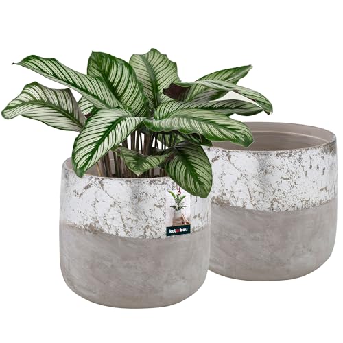 KOTARBAU® 2er Set Blumentopf Keramik groß Silber Unglasierte Keramik ⌀ 11,5 cm Höhe: 12 cm Pflanzkübel Keramik Blumentöpfe Keramik Übertopf Vintage von KOTARBAU