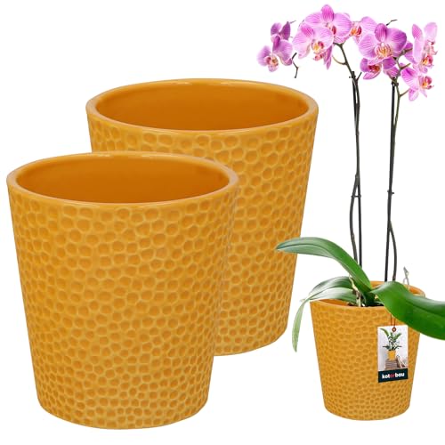 KOTARBAU® 2er Set Blumentopf Senffarbe Keramik glasiert ⌀ 12 cm Höhe: 15 cm Orchideentopf Keramik Blumentöpfe Keramik Blumentopf Keramik Pflanztopf Blumentopf modern Blumentöpfe Zimmerpflanzen von KOTARBAU