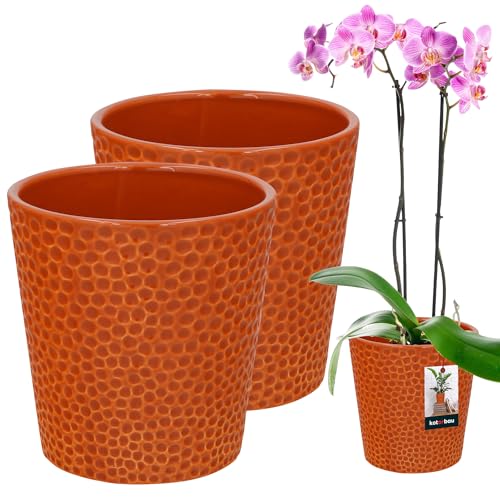 KOTARBAU® 2er Set Blumentopf dunkel senffarben Keramik glasiert ⌀ 9,5 cm Höhe: 11 cm Orchideentopf Keramik Blumentöpfe Keramik Blumentopf Keramik Pflanztopf Blumentopf modern Blumentöpfe Zimmerpflanz von KOTARBAU