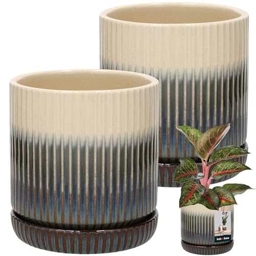 KOTARBAU® 2er Set Blumentopf mit Untersetzer glasiert Creme Braun Blau ⌀ 16 cm H: 17 cm Handmade Übertopf Keramik-Topf mit Untersetzer Orchideentopf Keramik-Blumentöpfe mit Untersetzer von KOTARBAU
