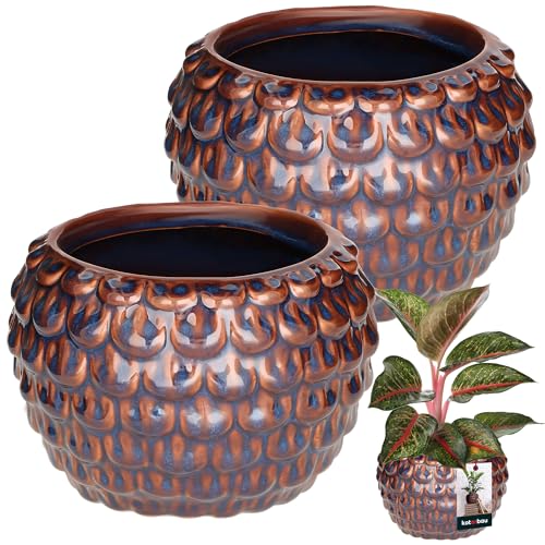 KOTARBAU® 2er Set Kunstvoller Blumentopf-Keramik groß Vintage Fischschuppen-Muster handgefertigt ⌀ 17 cm Höhe 13 cm Blumenübertopf-Keramik Blumentopf Blau & Braun Orchideentopf von KOTARBAU