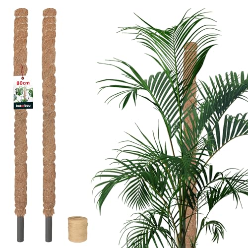 KOTARBAU® 2er Set Moosstab für Monstera Kokos Natural ⌀ 2,5 x 80cm Pflanzenstab Rankhilfe für Monstera Pflanzen Kokosstab Pflanzstab Rankstab Moss Pole Monstera Rankhilfe Blumenstab Moss Stab + Schnur von KOTARBAU