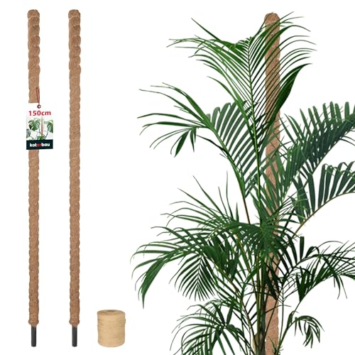 KOTARBAU® 2er Set Moosstab für Monstera Kokos Natural ⌀3,2 x 150cm Pflanzenstab Rankhilfe für Monstera Pflanzen Kokosstab Pflanzstab Rankstab Moss Pole Monstera Rankhilfe Blumenstab Moss Stab + Schnur von KOTARBAU