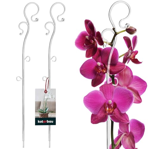 KOTARBAU® 2er Set Pflanzenstütze Transparent PVC 39 cm Blumenstütze Rankhilfe Zimmerpflanzen Blumenstütze Garten Orchideenstab Stützstab Pflanzen dekorative Pflanzenhalter Zimmerpflanzen Rankstäbe von KOTARBAU