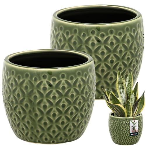 KOTARBAU® 2er Set Pflanzentopf Grün ⌀ 12 cm Höhe: 10 cm Glasierte Keramik Blumentopf groß Plant Pot Kaktus Topf Übertopf Blumentöpfe von KOTARBAU