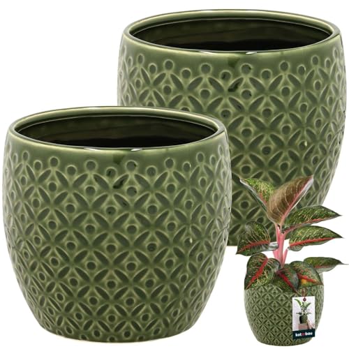 KOTARBAU® 2er Set Pflanzentopf Grün ⌀ 14 cm Höhe: 13 cm Glasierte Keramik Blumentopf groß Plant Pot Kaktus Topf Übertopf Blumentöpfe von KOTARBAU