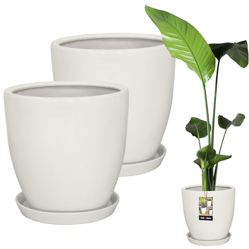 KOTARBAU® 2er Set Pflanzentopf Mit Untersetzer Weiß ⌀ 31 cm Höhe: 30 cm Glasierte Keramik Blumentopf Groß Plant Pot Kaktus Topf Übertopf Blumentöpfe von KOTARBAU