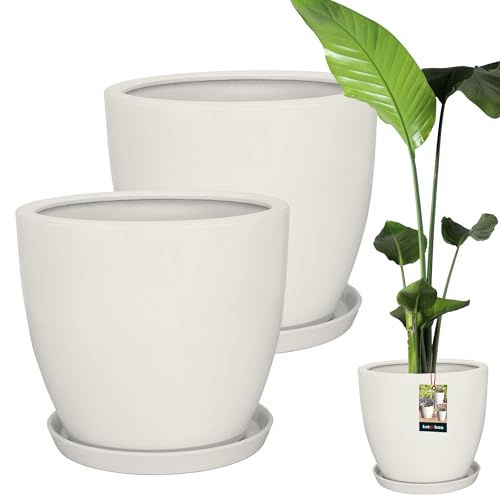 KOTARBAU® 2er Set Pflanzentopf mit Untersetzer Weiß ⌀ 38 cm Höhe: 33 cm Glasierte Keramik Blumentopf Groß Plant Pot Kaktus Topf Übertopf Blumentöpfe von KOTARBAU