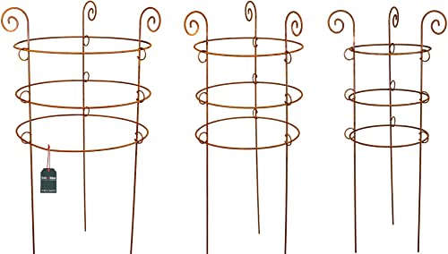 KOTARBAU® 3er Set Edelrost-Rankhilfe Deko-Blumenringstütze 3 Ringe von KOTARBAU