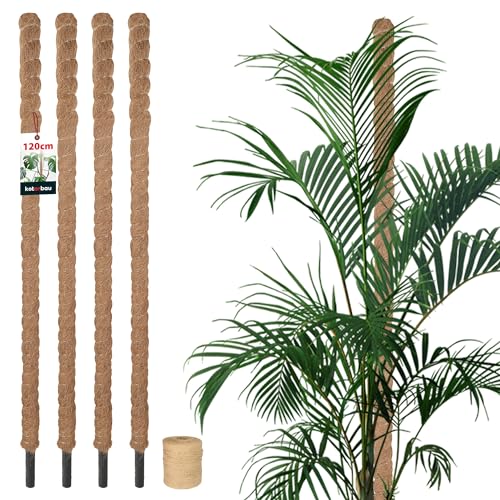 KOTARBAU® 4er Set Moosstab für Monstera Kokos Natural ⌀3,2 x 120cm Pflanzenstab Rankhilfe für Monstera Pflanzen Kokosstab Pflanzstab Rankstab Moss Pole Monstera Rankhilfe Blumenstab Moss Stab + Schnur von KOTARBAU