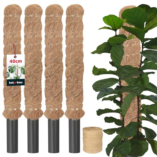 KOTARBAU® 4er Set Moosstab für Monstera Kokos Natural ⌀3,2 x 40cm Pflanzenstab Rankhilfe für Monstera Pflanzen Kokosstab Pflanzstab Rankstab Moss Pole Monstera Rankhilfe Blumenstab Moss Stab + Schnur von KOTARBAU