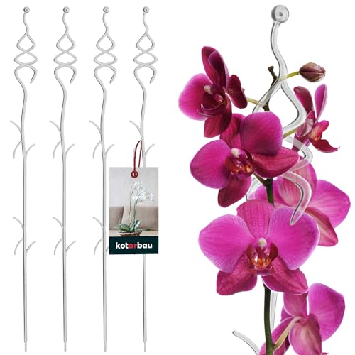 KOTARBAU® 4er Set Pflanzenstütze Transparent PVC 55 cm Tannenbaum Blumenstütze Rankhilfe Zimmerpflanzen Blumenstütze Garten Orchideenstab Stützstab Pflanzen dekorative Pflanzenhalter Zimmerpflanzen Ra von KOTARBAU