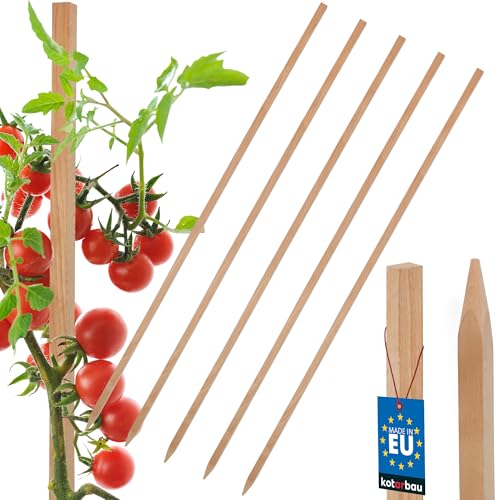 KOTARBAU® 5er Set Tomatenstäbe Pflanzstäbe 150cm Zaunpfahl Holzpfosten Holzpflock angespitzt Pflanzenstütze Zaunpfosten Rankhilfe Pflanzenstäbe zur Stabilisierung Pflanzenstützen von KOTARBAU