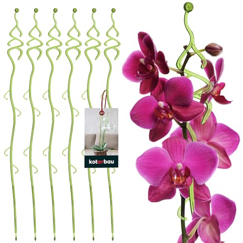 KOTARBAU® 6er Set Pflanzenstütze Grün PVC 55 cm Tannenbaum Blumenstütze Rankhilfe Zimmerpflanzen Blumenstütze Garten Orchideenstab Stützstab Pflanzen dekorative Pflanzenhalter Zimmerpflanzen Rankstäbe von KOTARBAU