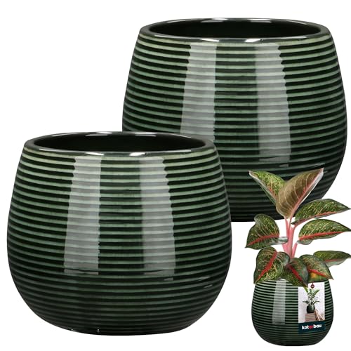KOTARBAU® Blumentopf Dunkel Grün Keramik rund ⌀ 12 cm Höhe 14 cm Glasierte Keramik 2 St. Blumenübertopf groß Übertopf Keramik Pflanztopf Keramik Blumentopf Keramik Pflanzkübel Keramik von KOTARBAU