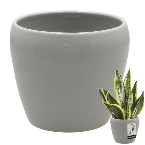 KOTARBAU® Blumentopf Grau innen rund ⌀ 13,5 cm H: 14 cm glasierte Keramik Blumentöpfe innen Blumenübertopf Pflanzentopf innen Orchideenübertöpfe Blumentopf groß Flower Pot von KOTARBAU
