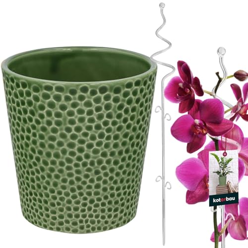 KOTARBAU® Blumentopf Grün Keramik glasiert 11 cm mit Pflanzenstütze Transparent PVC 58 cm Orchideentopf Keramik mit Blumenstütze Rankhilfe Pflanztopf Orchideenstab Stützstab dekorative Pflanzenhalter von KOTARBAU