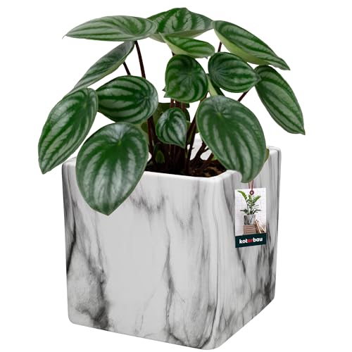 KOTARBAU® Blumentopf Keramik 12 x 12 cm quadratisch Marmor Matt Übertopf Keramik Übertöpfe für Zimmerpflanzen Blumentopf modern Marmor-Optik kleine Übertöpfe Pflanztopf Keramik Orchideentopf Keramik Ü von KOTARBAU