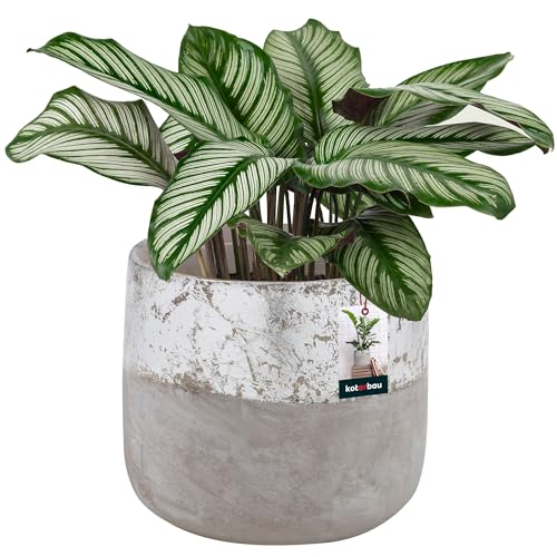 KOTARBAU® Blumentopf Keramik groß Silber Unglasierte Keramik ⌀ 11,5 cm Höhe: 12 cm Pflanzkübel Keramik Blumentöpfe Keramik Übertopf Vintage von KOTARBAU