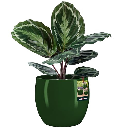 KOTARBAU® Blumentopf Keramik Rund ⌀ 26 cm Höhe: 26 cm Grün - Übertopf für Zimmerpflanzen, Modern, Klein, Pflanztopf, Orchideentopf von KOTARBAU