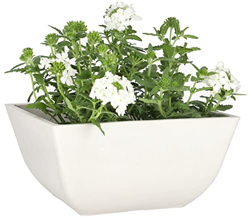 KOTARBAU® Blumentopf Pflanzgefäß aus recycelten Materialien quadratisch 25x25x12,7 cm Weiß von KOTARBAU