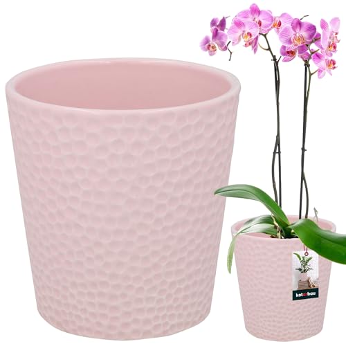 KOTARBAU® Blumentopf Rosa Keramik glasiert ⌀ 12 cm Höhe: 15 cm Orchideentopf Keramik Blumentöpfe Keramik Blumentopf Keramik Pflanztopf Blumentopf modern Blumentöpfe Zimmerpflanzen von KOTARBAU