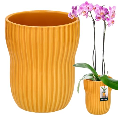 KOTARBAU® Blumentopf Senfgelb innen rund ⌀ 11,5 cm H: 16,5 cm gerillter glasierte keramischer Blumentöpfe Blumenübertopf keramischer Pflanzentopf Orchideenübertöpfe Blumentopf groß Flower Pot von KOTARBAU