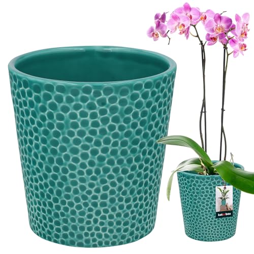KOTARBAU® Blumentopf Türkisfarben Keramik Glasiert ⌀ 12 cm Höhe: 15 cm Orchideentopf Modern für Zimmerpflanzen von KOTARBAU