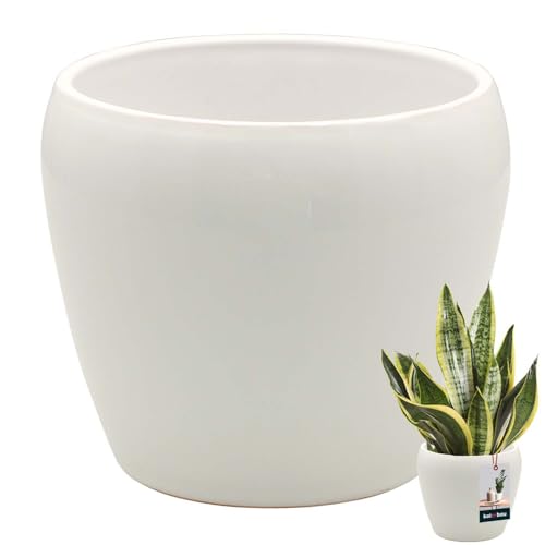KOTARBAU® Blumentopf Weiß innen rund ⌀ 13,5 cm H: 14 cm glasierte Keramik Blumentöpfe innen Blumenübertopf Pflanzentopf innen Orchideenübertöpfe Blumentopf groß Flower Pot von KOTARBAU