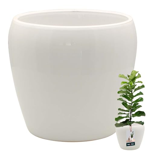 KOTARBAU® Blumentopf Weiß innen rund ⌀ 17,5 cm H: 19 cm glasierte Keramik Blumentöpfe innen Blumenübertopf Pflanzentopf innen Orchideenübertöpfe Blumentopf groß Flower Pot von KOTARBAU