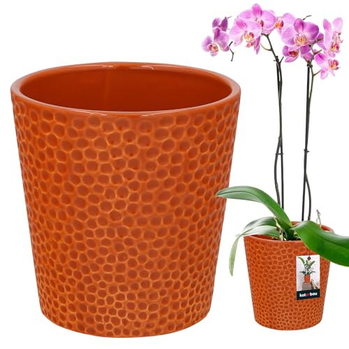 KOTARBAU® Keramik Blumentopf Dunkel Senffarben - Glasiert ⌀ 9,5 cm Höhe: 11 cm - Orchideentopf, Pflanztopf Modern für Zimmerpflanzen von KOTARBAU
