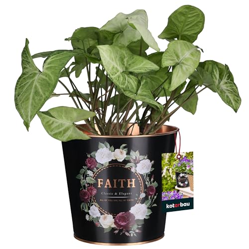 KOTARBAU® Blumenübertopf schwarz rund mit Aufschrift Faith ⌀ 14 x 13,5 cm Stahl Blumentopf schwarz matt Deko Übertöpfe von KOTARBAU
