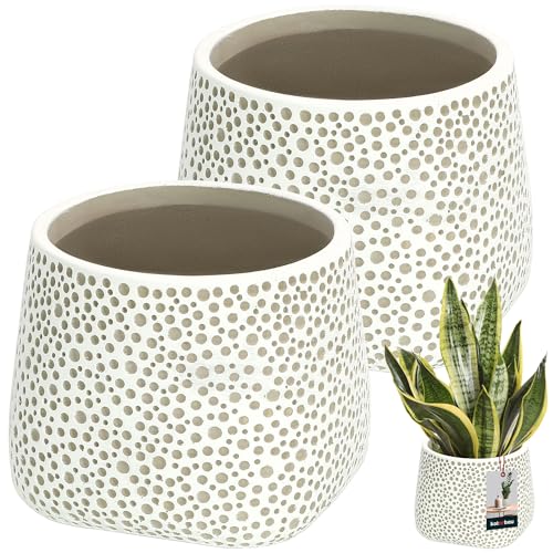 KOTARBAU® Blumenübertopf unglasiert Mattes Finish Grau bauchig ⌀ 11 cm | H 11 cm 2 St. Blumenübertöpfe Übertöpfe für Zimmerpflanzen Keramik-Blumentopf Gross Blumentopf modern von KOTARBAU