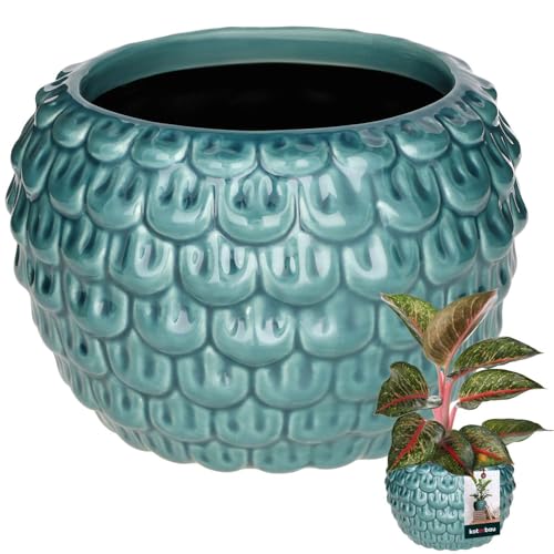 KOTARBAU® Kunstvoller Blumentopf-Keramik groß Vintage Fischschuppen-Muster handgefertigt ⌀ 17 cm Höhe 13 cm Blumenübertopf Keramik-Blumentopf Blau & Turkisfarbe Orchideentopf von KOTARBAU