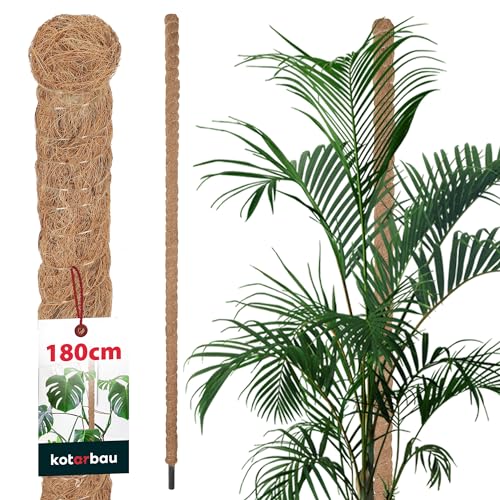 KOTARBAU® Moosstab für Monstera Kokos Natural ⌀ 3,2 x 180 cm Pflanzenstab Rankhilfe für Monstera Pflanzen Kokosstab Pflanzstab Rankstab Moss Pole Monstera Rankhilfe Blumenstab Moss Stab von KOTARBAU