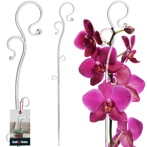 KOTARBAU® Pflanzenstütze Transparent PVC 39 cm Blumenstütze Rankhilfe Zimmerpflanzen Blumenstütze Garten Orchideenstab Stützstab Pflanzen dekorative Pflanzenhalter Zimmerpflanzen Rankstäbe von KOTARBAU