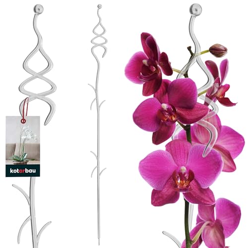 KOTARBAU® Pflanzenstütze Transparent PVC 55 cm Tannenbaum Blumenstütze Rankhilfe Zimmerpflanzen Blumenstütze Garten Orchideenstab Stützstab Pflanzen dekorative Pflanzenhalter Zimmerpflanzen Rankstäbe von KOTARBAU