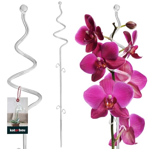 KOTARBAU® Pflanzenstütze Transparent PVC 58 cm Spirale Blumenstütze Rankhilfe Zimmerpflanzen Blumenstütze Garten Orchideenstab Stützstab Pflanzen dekorative Pflanzenhalter Zimmerpflanzen Rankstäbe von KOTARBAU