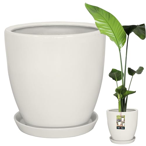 KOTARBAU® Pflanzentopf mit Untersetzer Weiß ⌀ 31 cm Höhe: 30 cm Glasierte Keramik Blumentopf Groß Plant Pot Kaktus Topf Übertopf Blumentöpfe von KOTARBAU