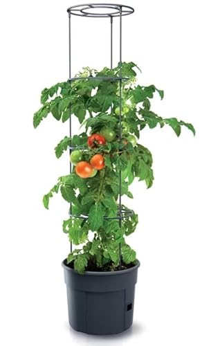 KOTARBAU® Tomatenturm 110 cm Tomatentopf Rankhilfe für Tomaten Gurken Gemüsen Anpassbare Rankgitter Pflanz-Türme ⌀ 30 cm Blumentopf Pflanzkübel Schwarz Kunststoff von KOTARBAU