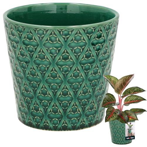 KOTARBAU® Vintage Blumentopf Übertopf Keramik Grün ⌀ 12 cm Höhe 13 cm Keramik glasiert 1 St. Trapez Blumenübertopf groß Übertöpfe für Zimmerpflanzen Blumentopf blau Keramik von KOTARBAU